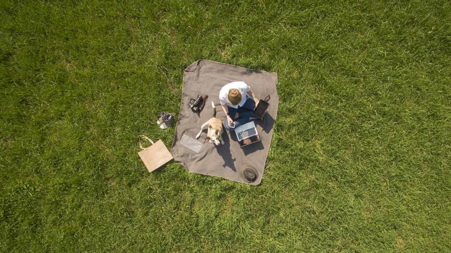 vista aérea de una persona con un perro haciendo un picnic en medio de un terreno cubierto de hierba: futuro 5G CSPS