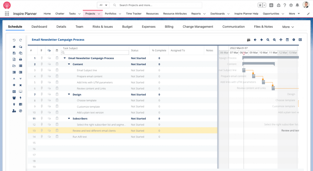 Un ejemplo de un proyecto en Inspire Planner, una aplicación de gestión de proyectos nativa de Salesforce